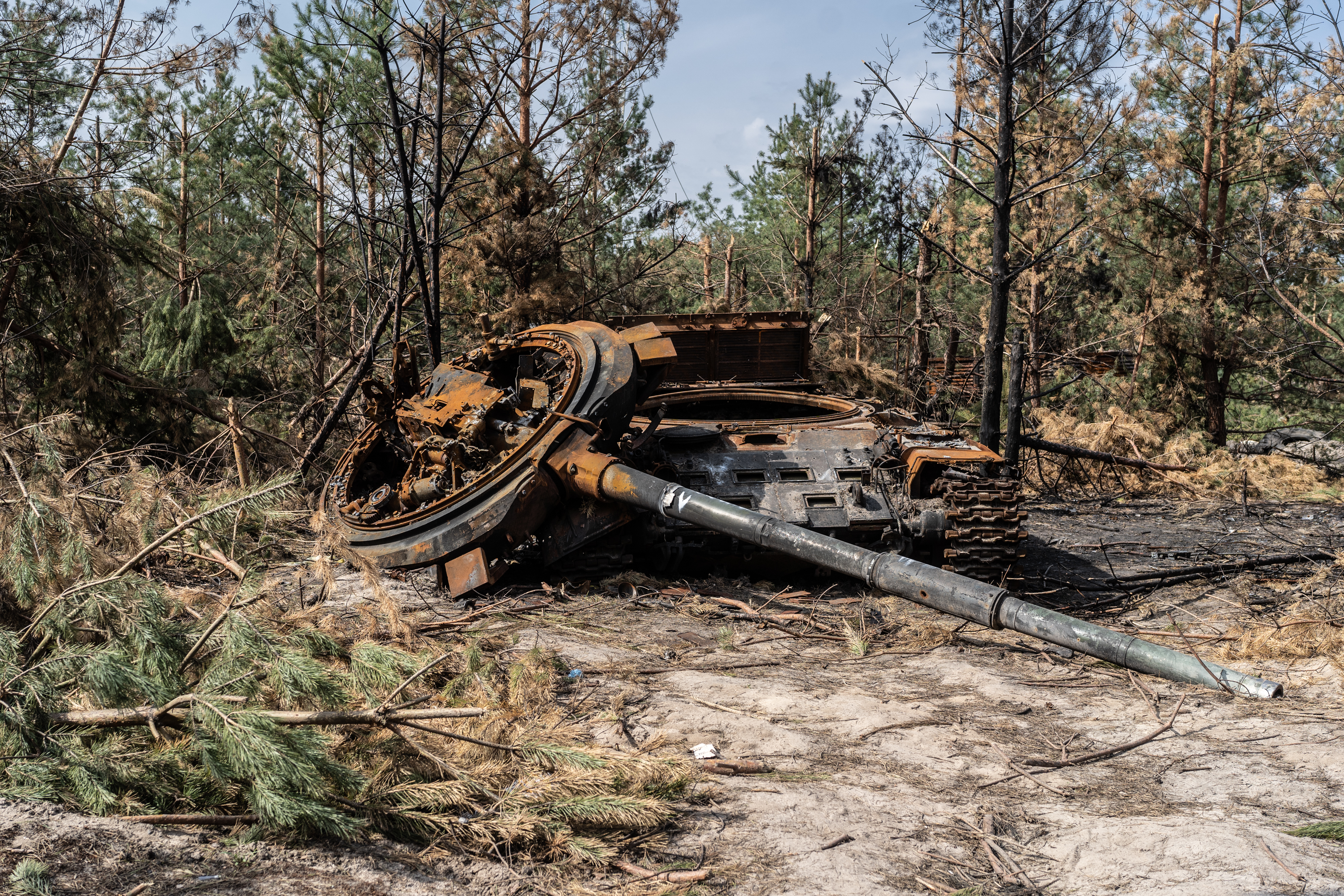 Forests damaged by war
